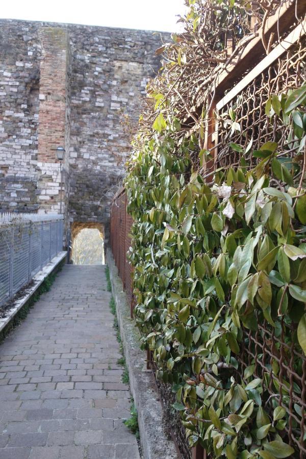 Central- Views - Air Conditioning - Easy Parking -Self Check In Apartment Perugia Exterior photo